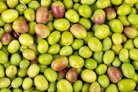 Huile d'olive AOP Haute Provence fruité vert